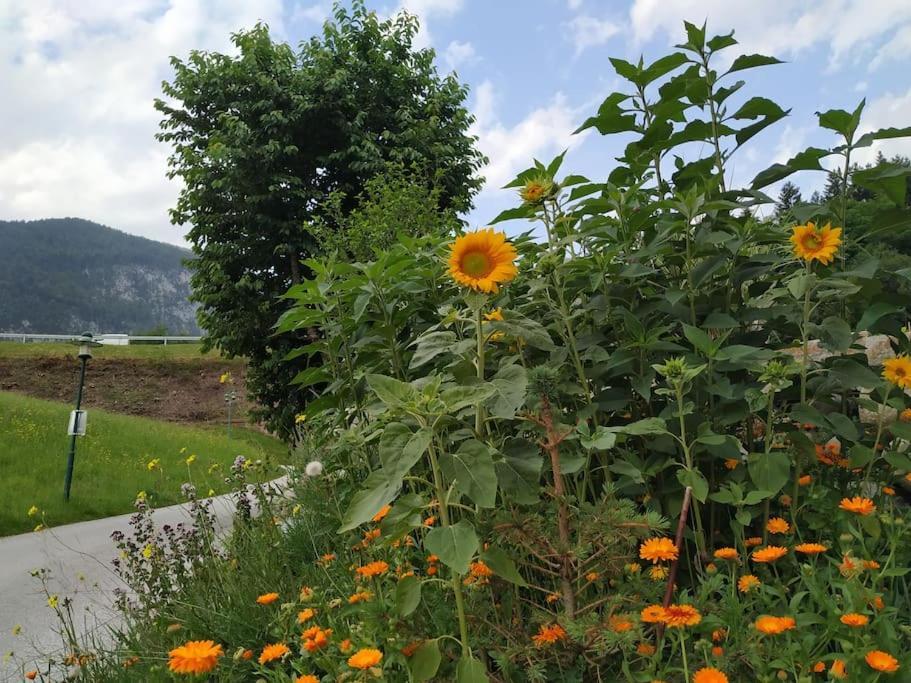 Upcycling Appartement Fischl - Nachhaltig Und Kreativ Wohnen Fuer Gross Und Klein Jenbach Exterior photo